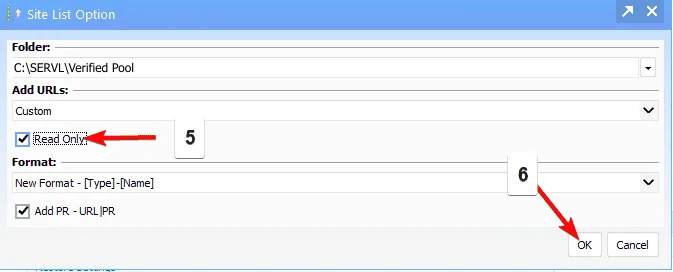 GSA SER — Add URLs: Custom · Read Only ticked · OK